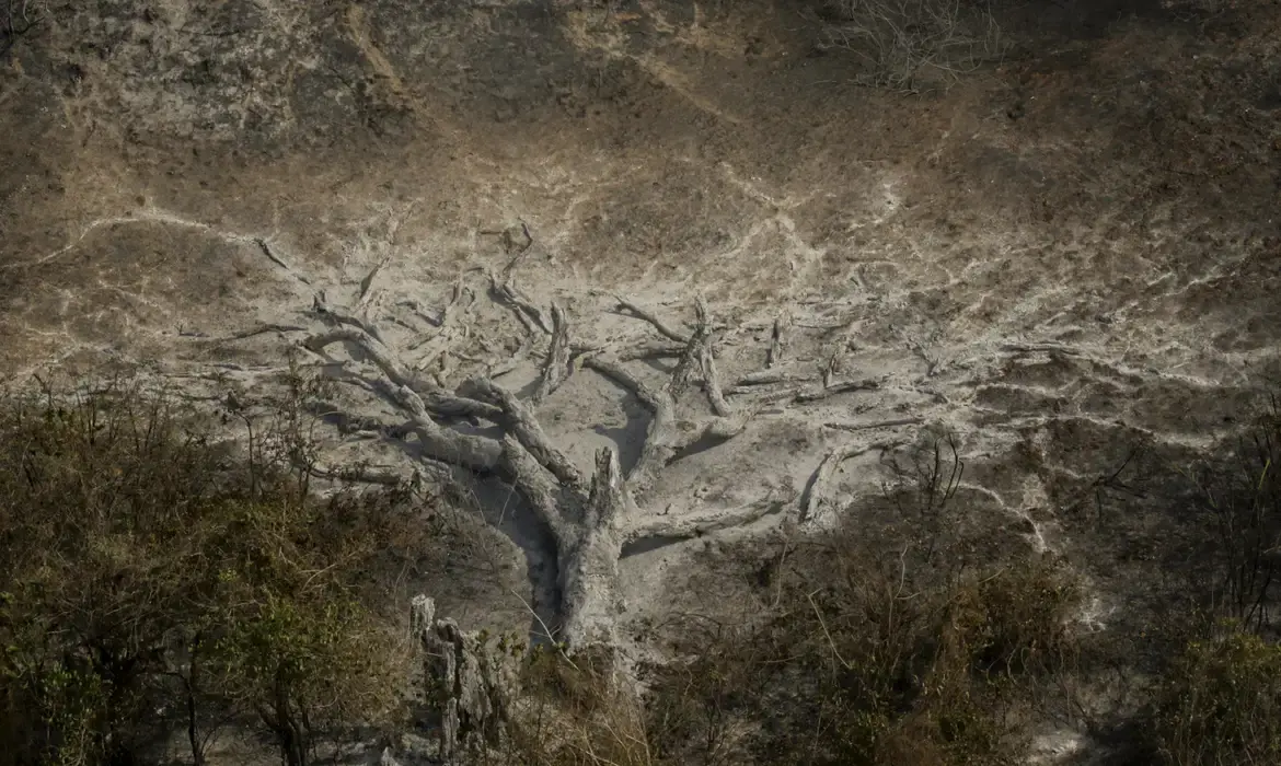 Mudanças climáticas já afetam 85% dos brasileiros, diz pesquisa