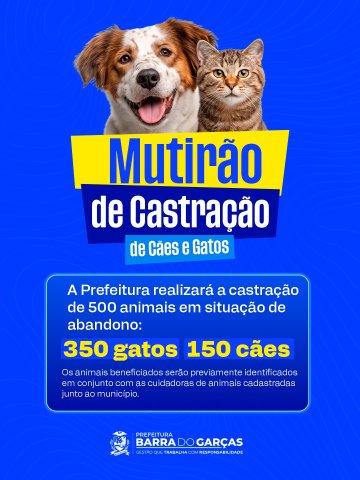 Prefeitura de Barra do Garças realizará mutirão de castração para 500 animais em situação de abandono