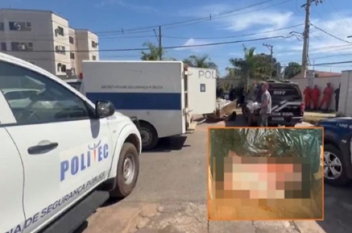 Mãe admite que descartou bebê em lixeira de VG e diz que filha já estava morta