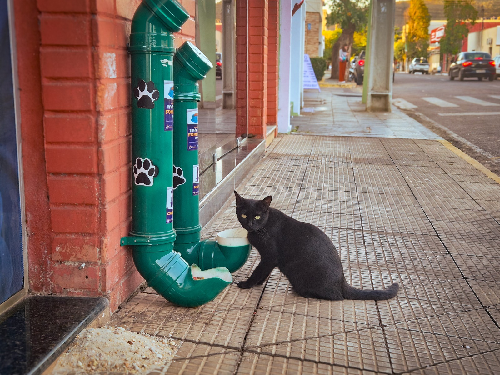 WhatsApp Image 2025-08-13 at 15.03.20 (1) WhatsApp Image 2025-08-13 at 15.03.20 (1)