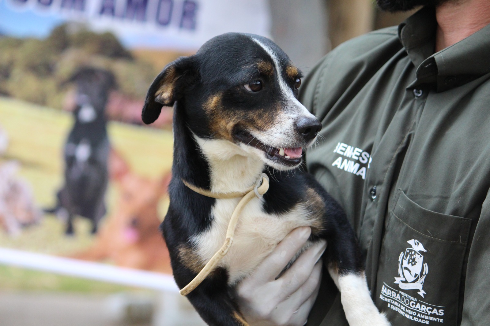 WhatsApp Image 2025-09-24 at 12.49.40 WhatsApp Image 2025-09-24 at 12.49.40