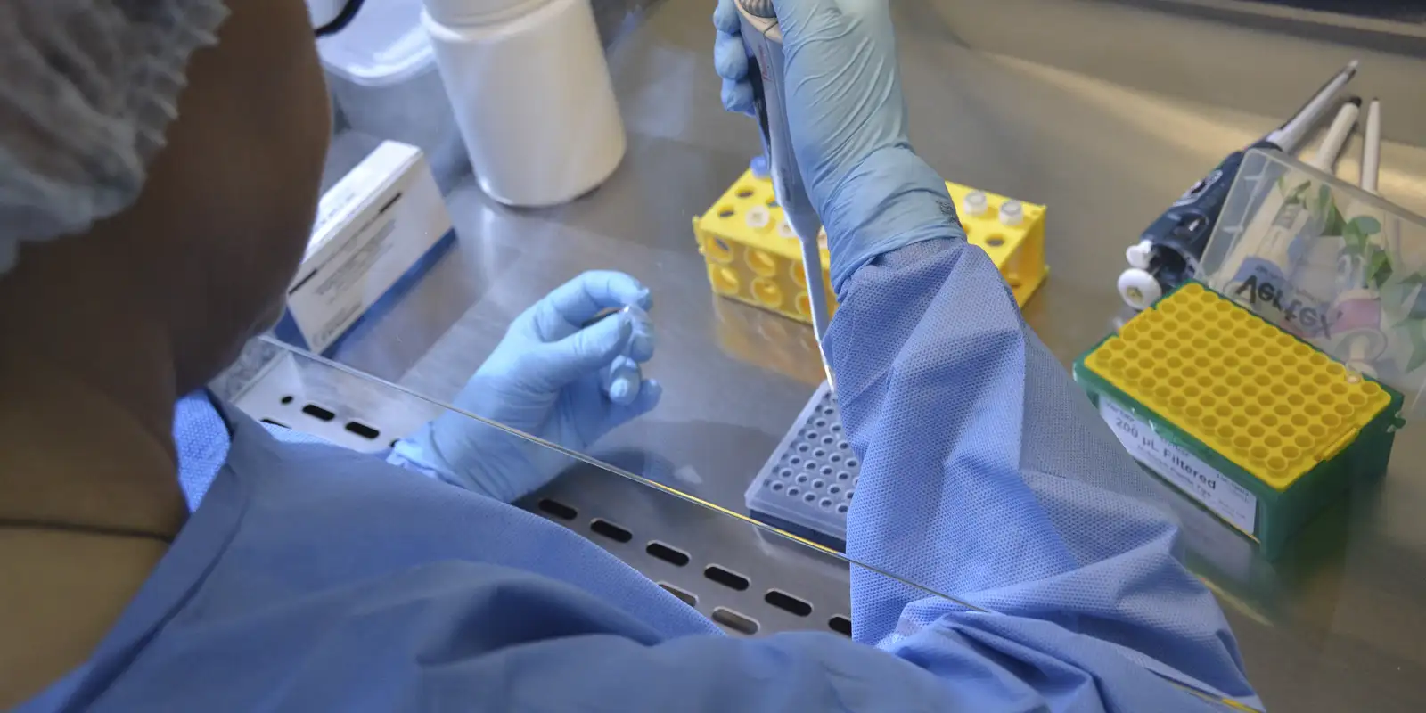 © Robson Valverde / SES-SC