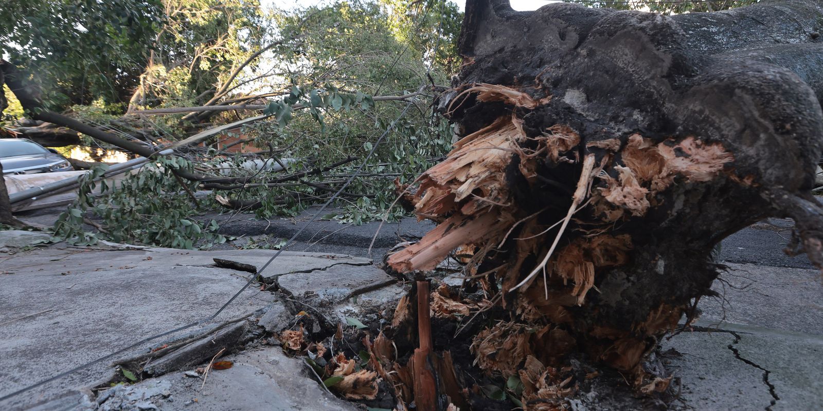 queda_arvores_09.jpg © Paulo Pinto/Agência Brasil