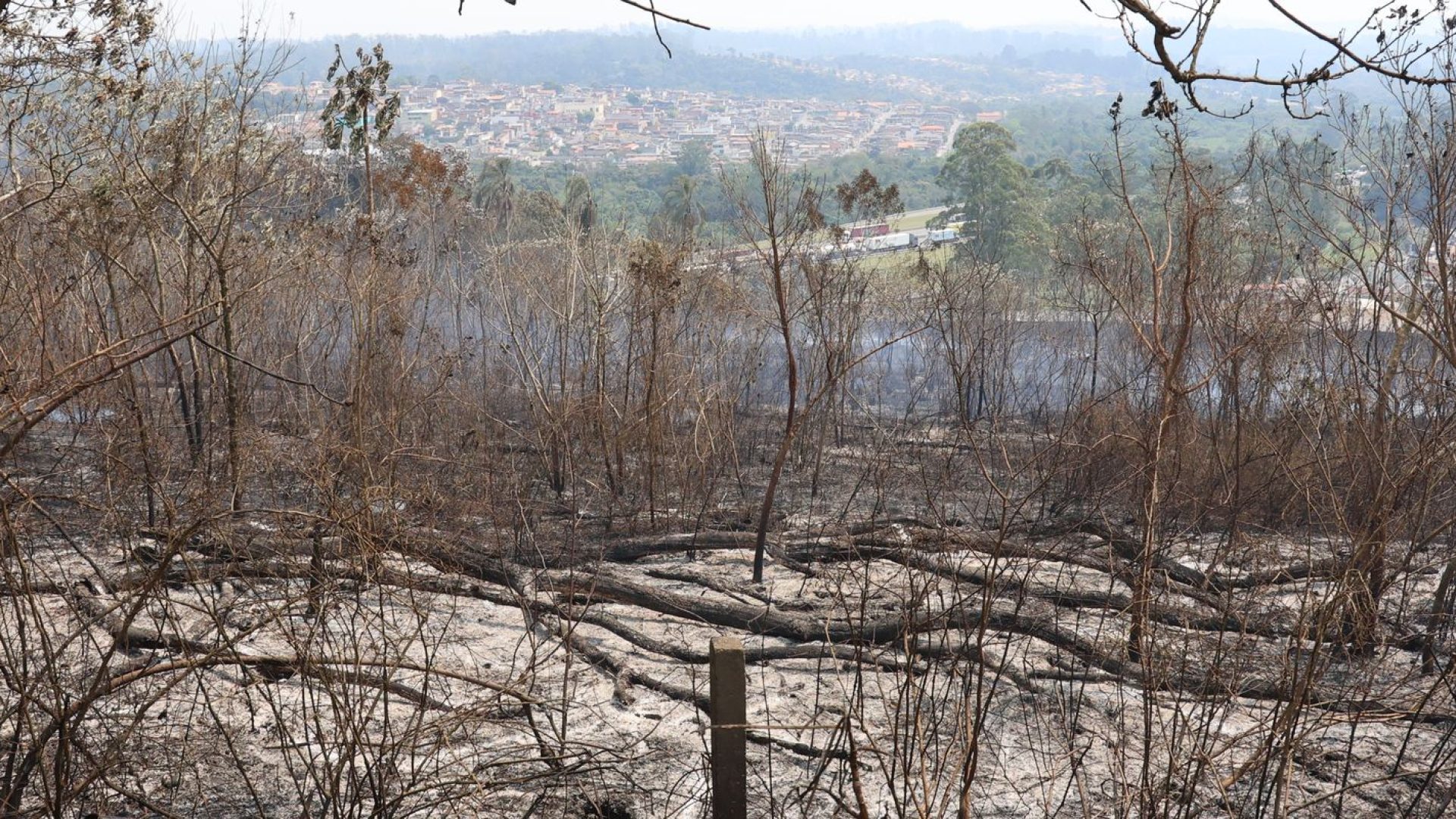 © Rovena Rosa/Agência Brasil