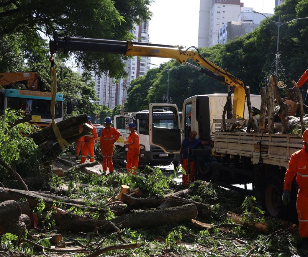 © Rovena Rosa/Agência Brasil