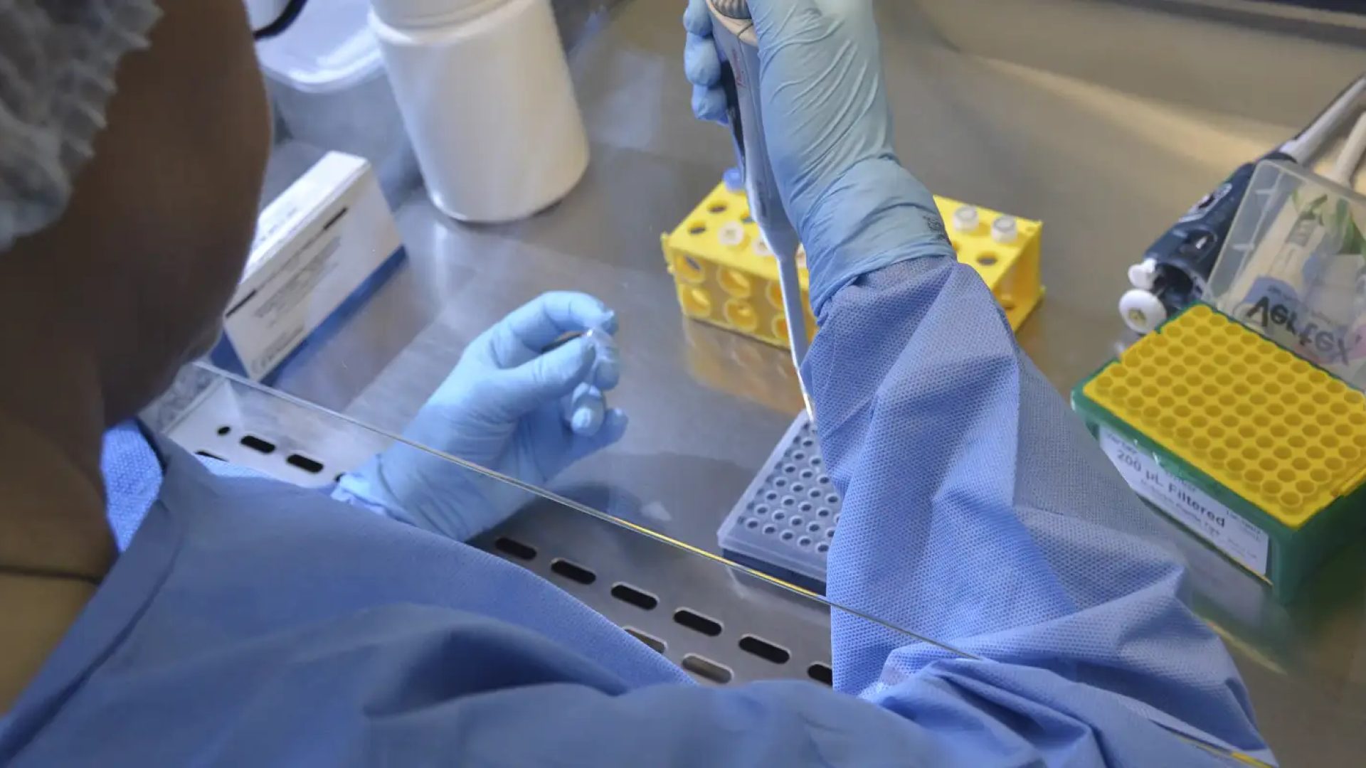 © Robson Valverde / SES-SC