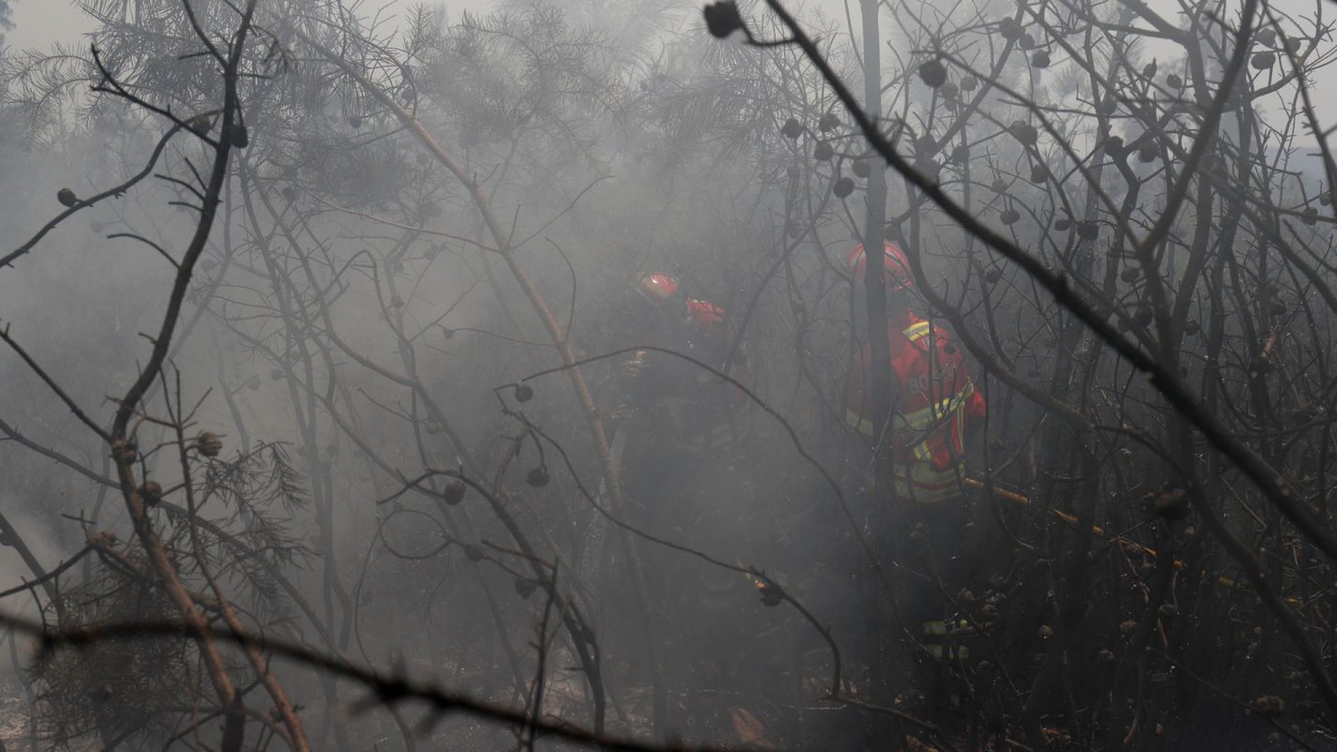 © REUTERS/Rafael Marchante/direitos reservados