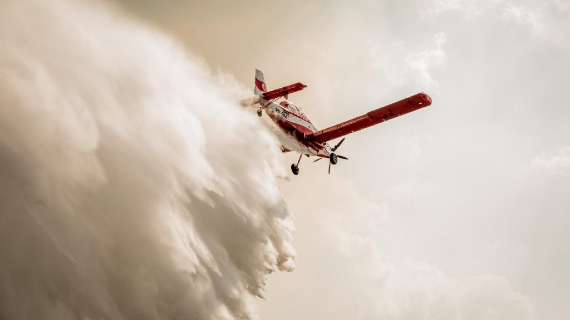 50380995882_40eba00b47_o