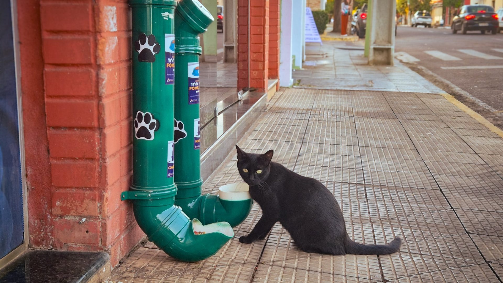 WhatsApp Image 2025-08-13 at 15.03.20 (1)