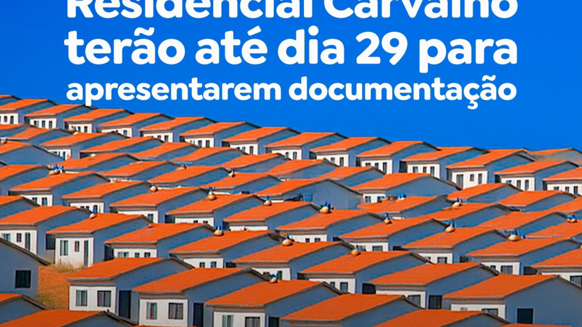 WhatsApp Image 2025-08-20 at 13.29.43