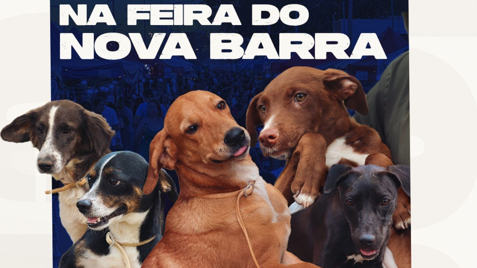 WhatsApp Image 2025-10-02 at 15.35.02