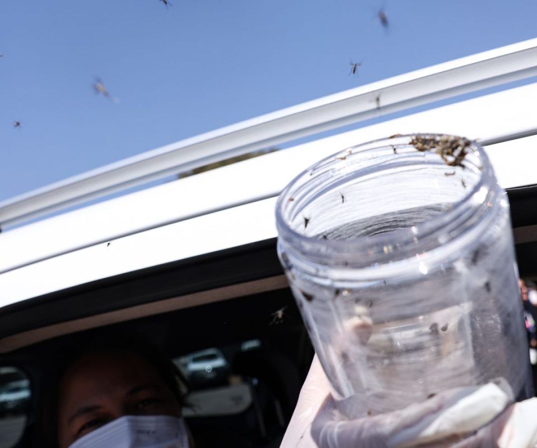 © Marcelo Camargo/Agência Brasil