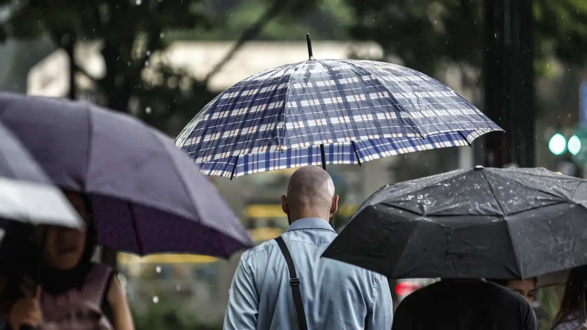© Paulo Pinto/Agência Brasil