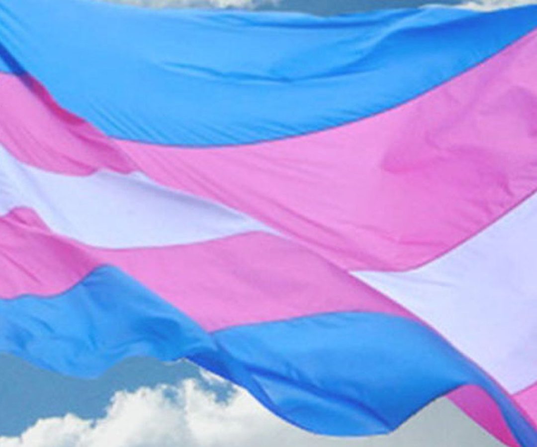 © Antra/Divulgação