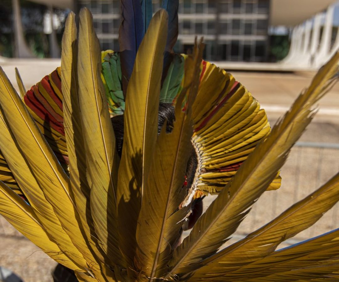 © Joédson Alves/Agência Brasil