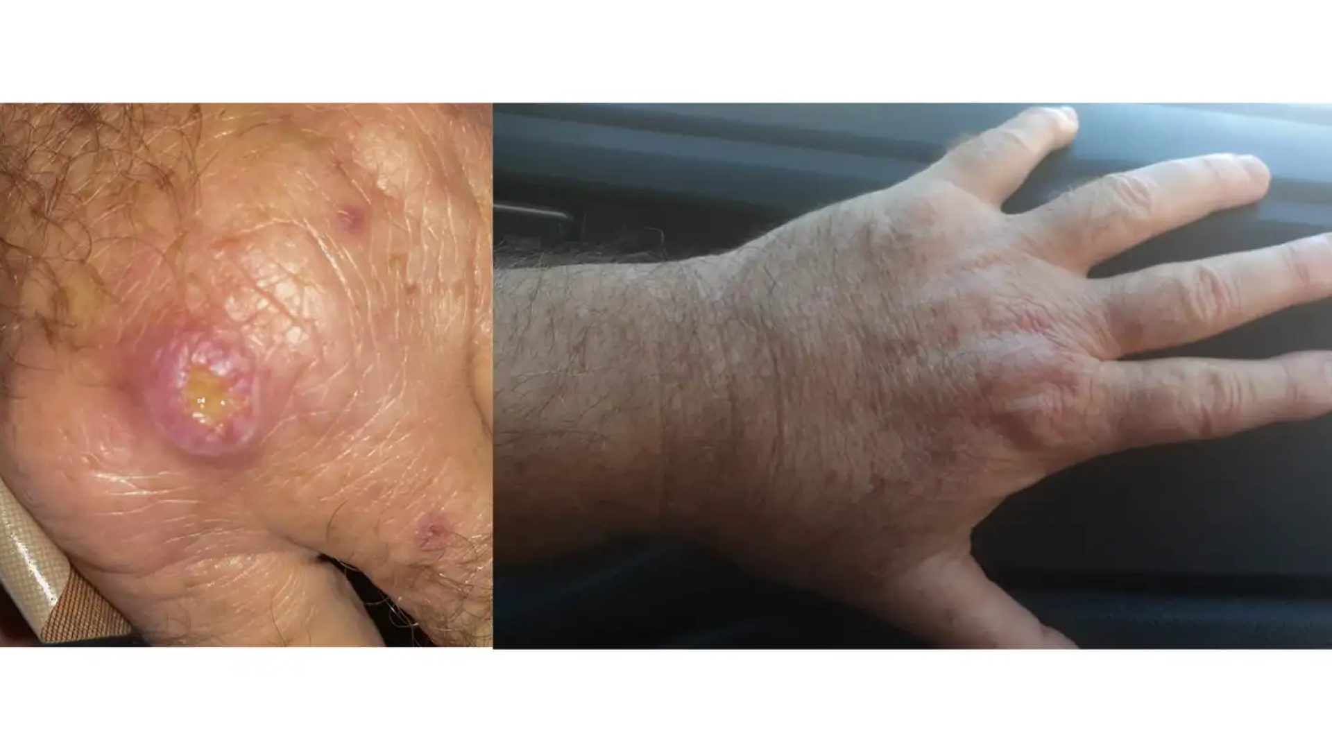 © Fernando Correa Losada/Arquivo Pessoal