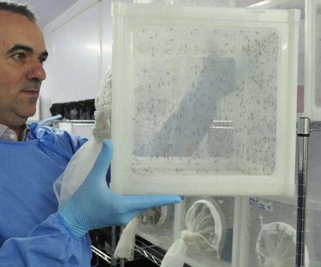 © Peter Ilicciev/WMP Brasil/Fiocruz