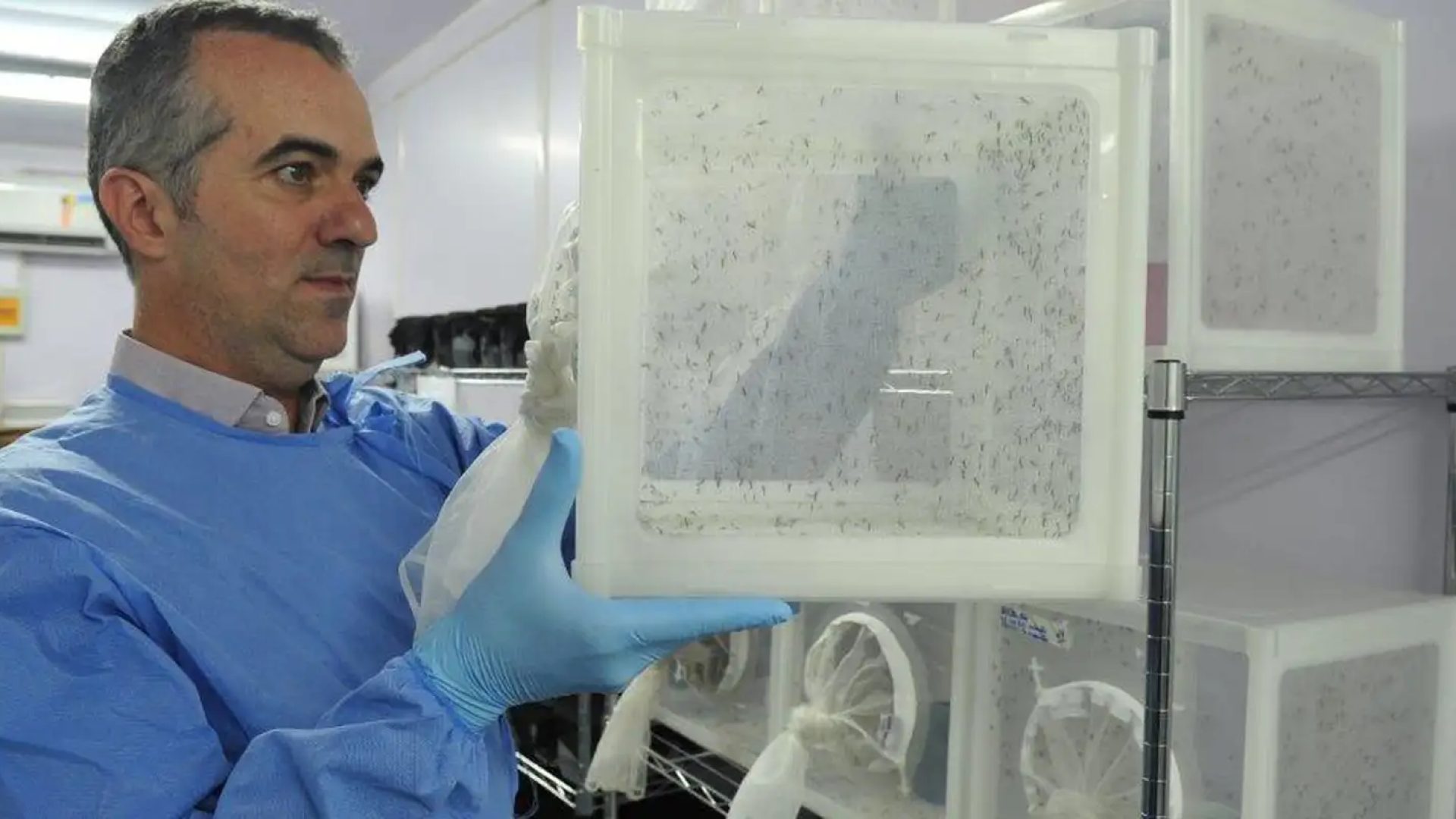 © Peter Ilicciev/WMP Brasil/Fiocruz