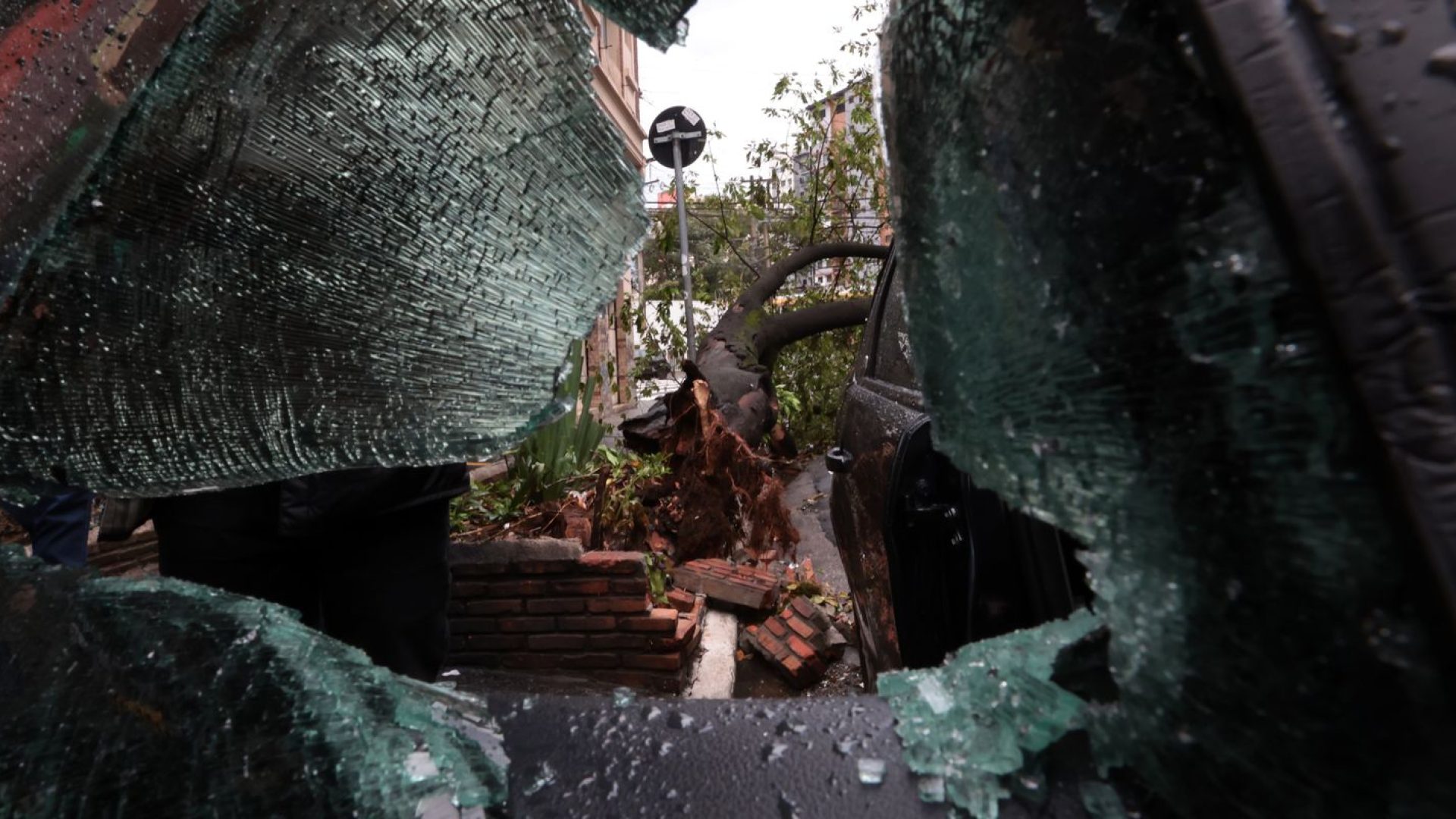 © Paulo Pinto/Agência Brasil