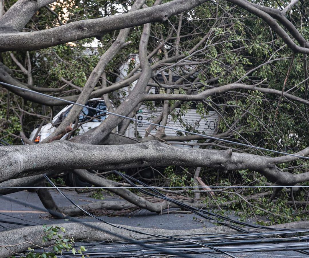 © Paulo Pinto/Agência Brasil