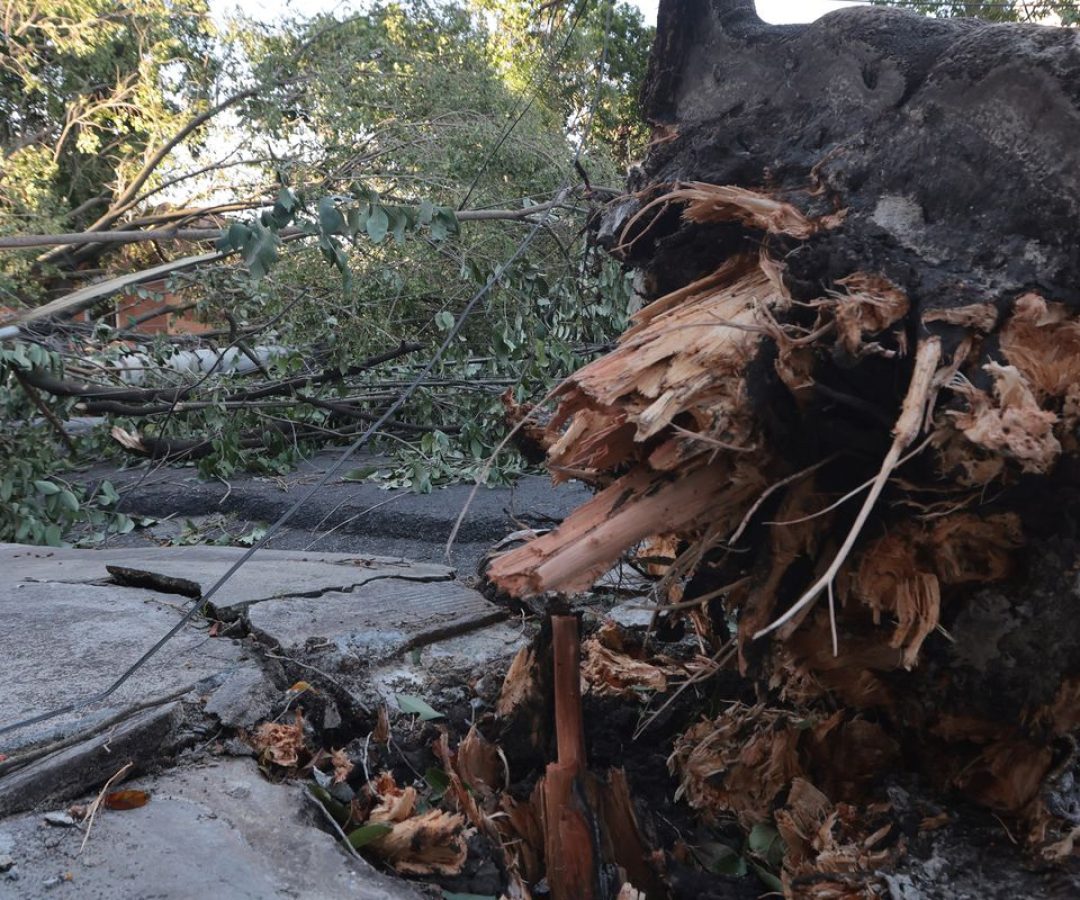 © Paulo Pinto/Agência Brasil