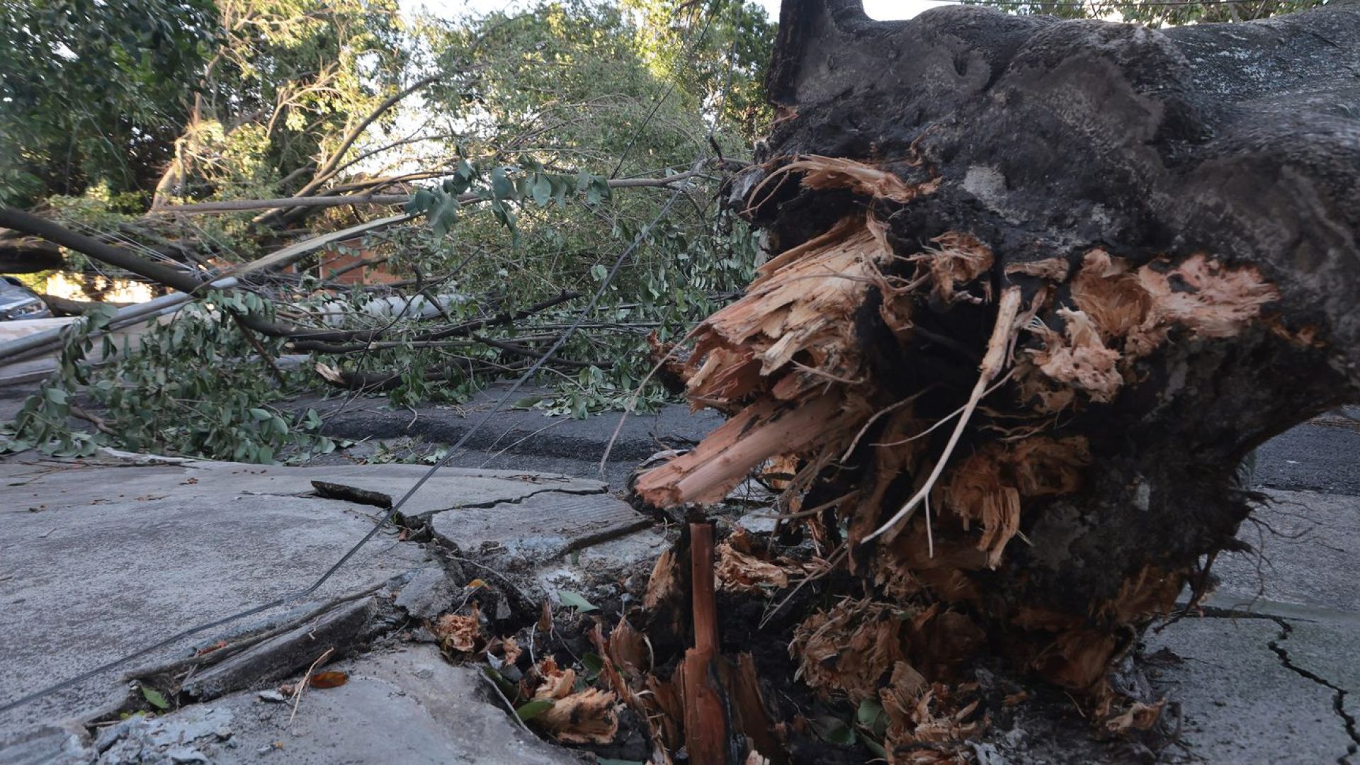 © Paulo Pinto/Agência Brasil