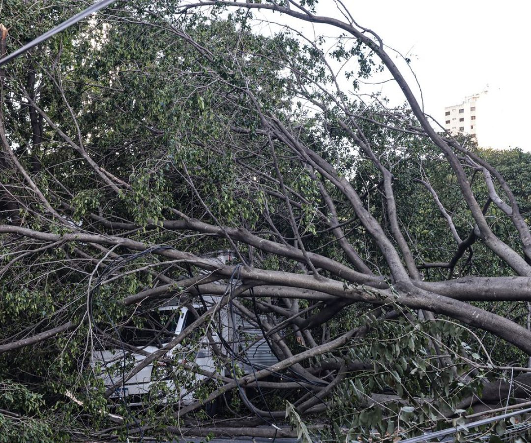 © Paulo Pinto/Agência Brasil