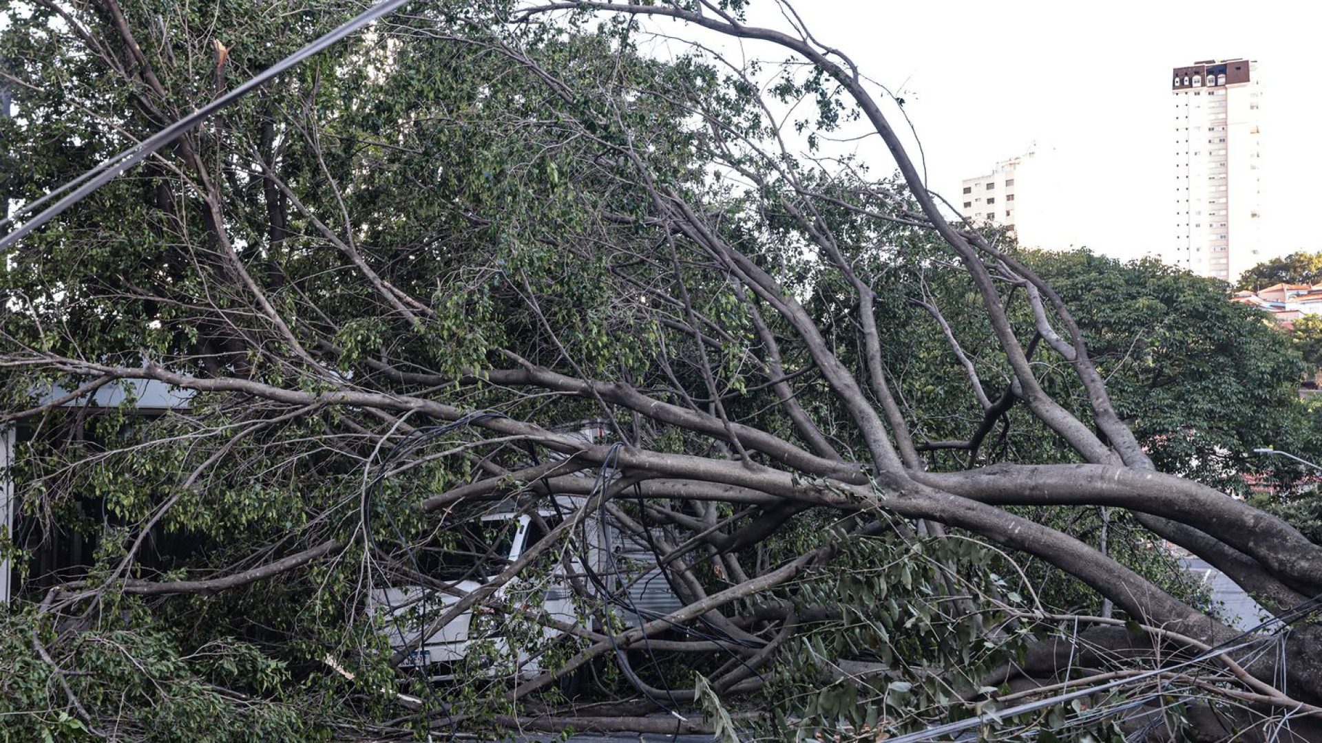 © Paulo Pinto/Agência Brasil