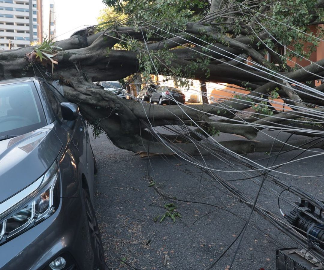 © Paulo Pinto/Agência Brasil