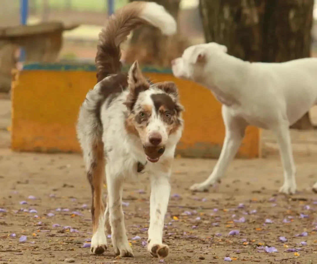© Rovena Rosa/Agência Brasil
