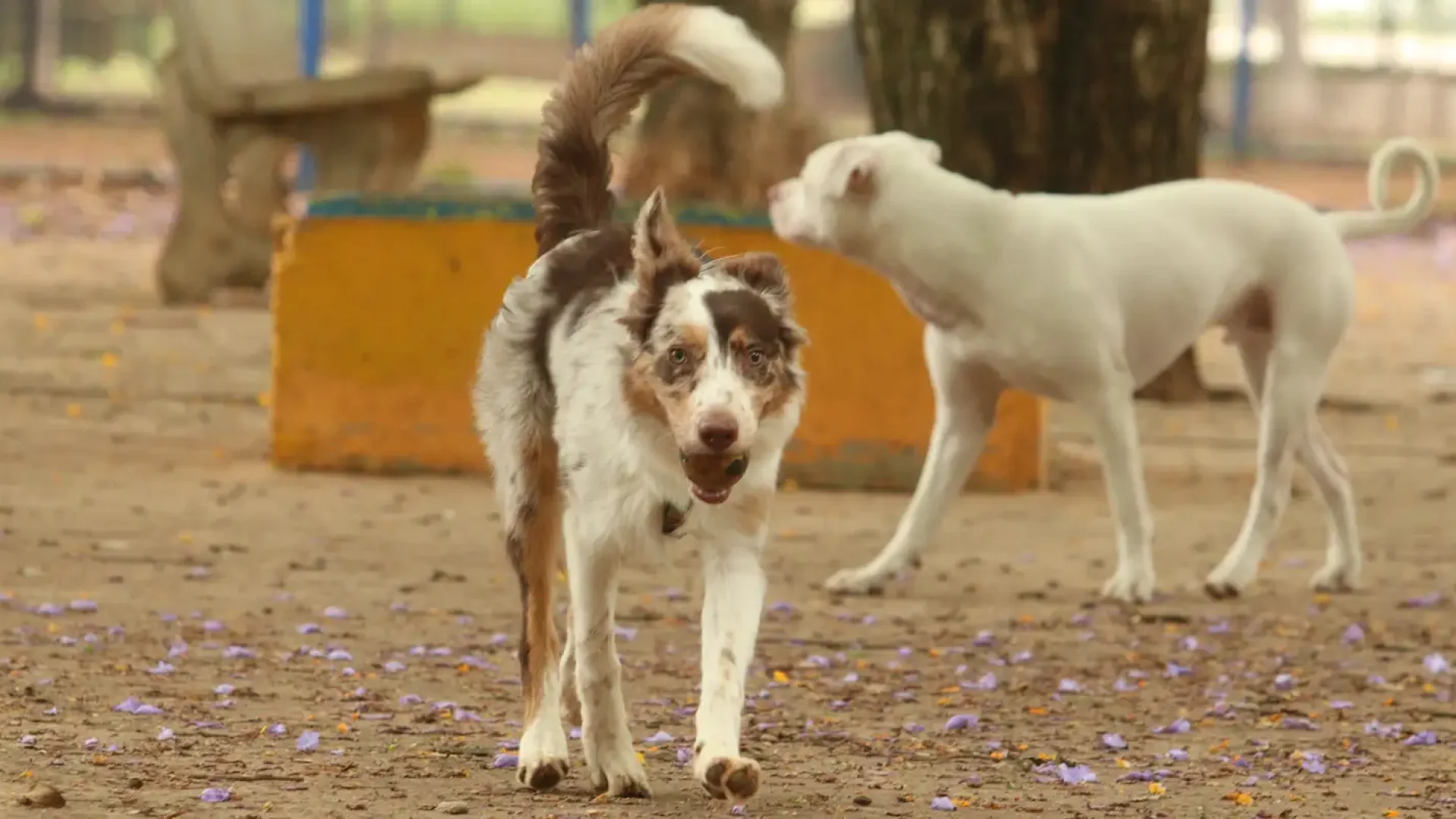 © Rovena Rosa/Agência Brasil