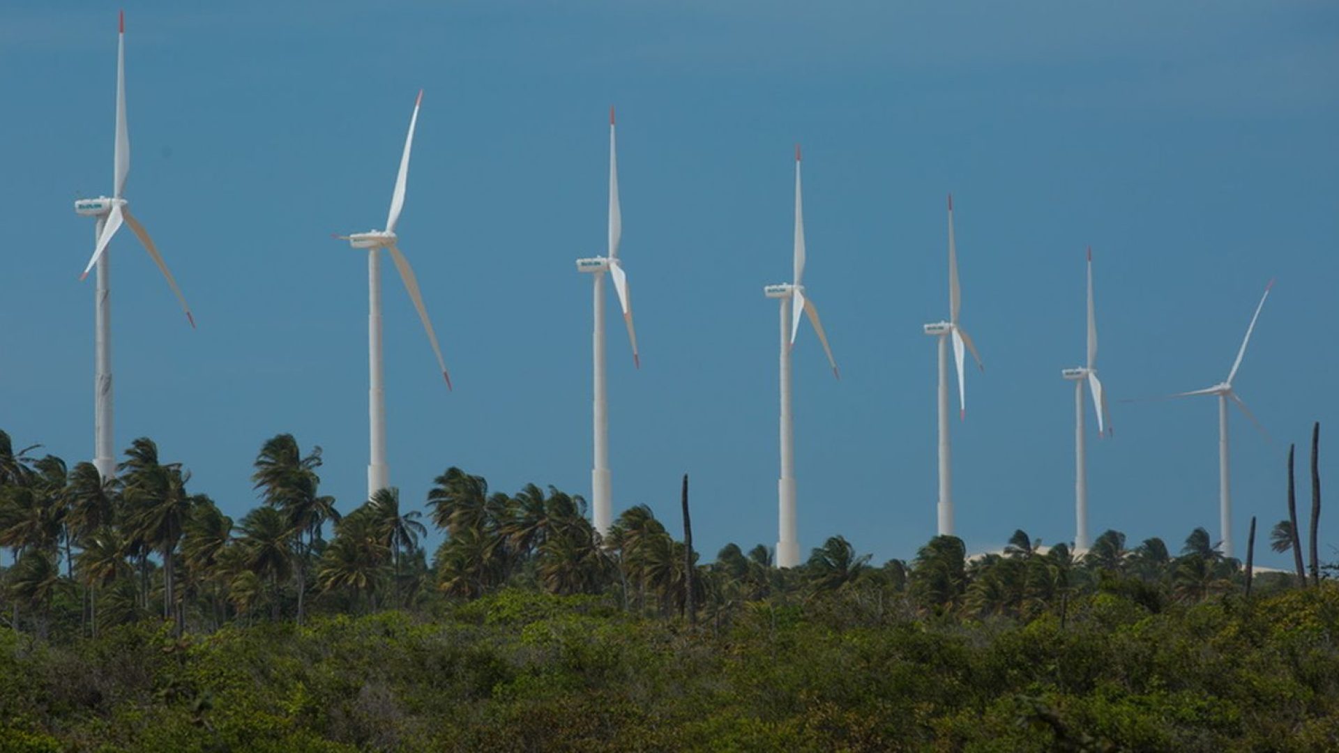 © Divulgação/Ari Versiani/PAC