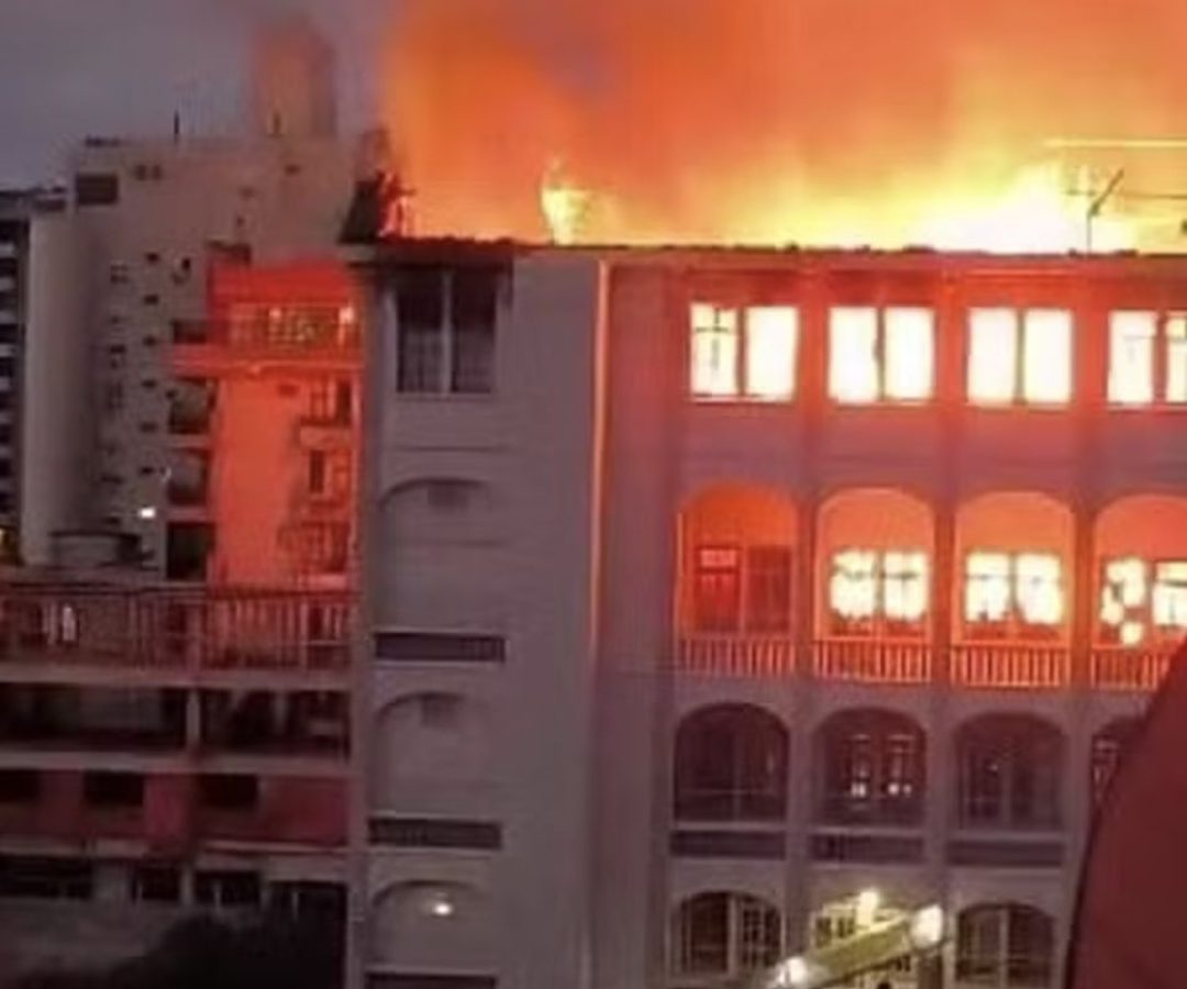 © Nalini Castilhos/Divulgação